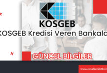 KOSGEB Kredisi Veren Bankalar
